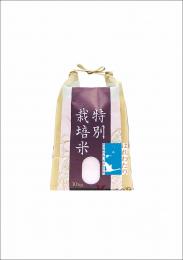 特別栽培米　はれわたり　10kg