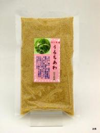 うるちあわ180g(岩手県産)
