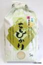 郡山こしひかり　5kg